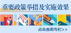 重要政策举措及实施效果